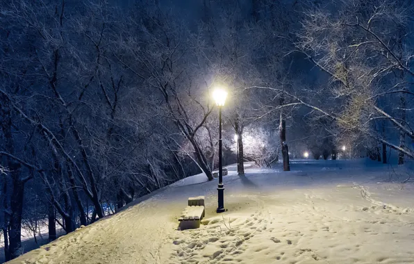 Picture winter, trees, Park, the evening, lantern
