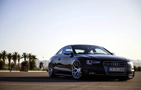 Audi, Audi, black, frontside