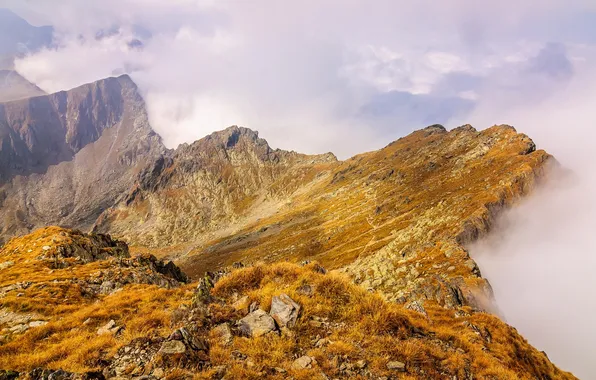 The sky, grass, clouds, mountains, stones, rocks