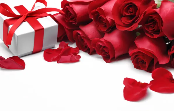 Picture flowers, roses, valentine's day, red roses