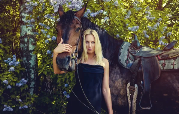 Look, girl, flowers, pose, horse, woman, horse, spring