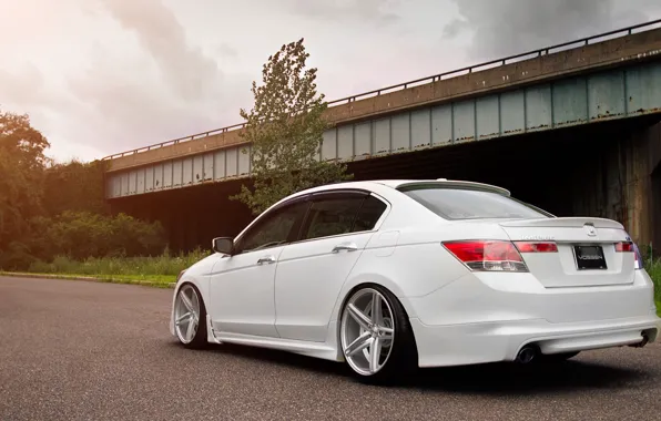 Honda, Honda, accord