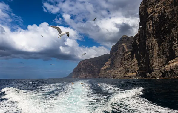 Sea, wave, clouds, flight, mountains, birds, blue, rocks