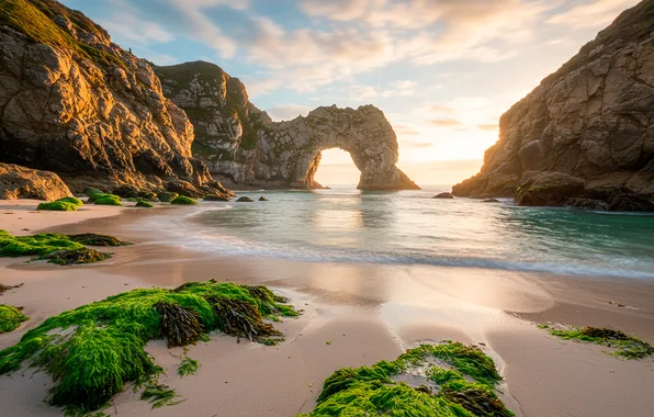Sand, the sky, clouds, algae, stones, the ocean, rocks, shore