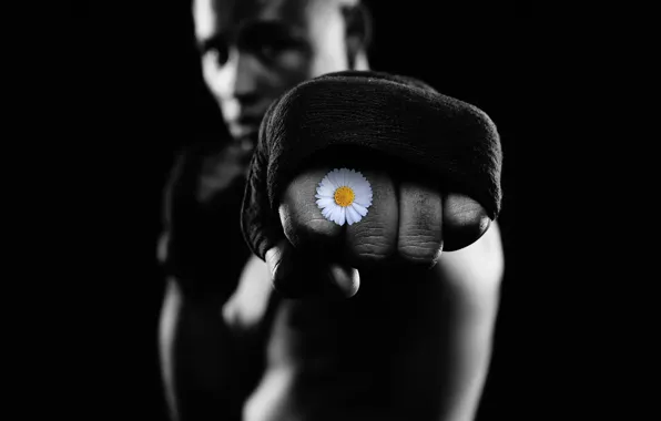 Flower, Boxing, training