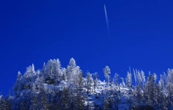 Winter, snow, trees, trail, hill