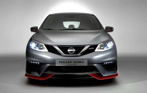 Picture Concept, Nissan, Nismo, 2014, Press