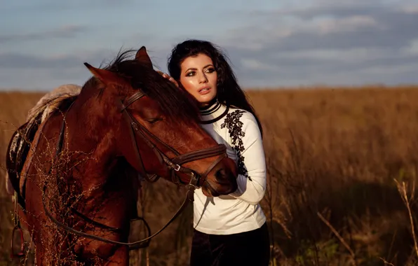 Picture girl, horse, horse