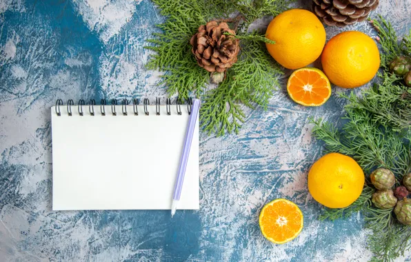 Christmas, handle, New year, Notepad, needles, bumps, citrus, halves