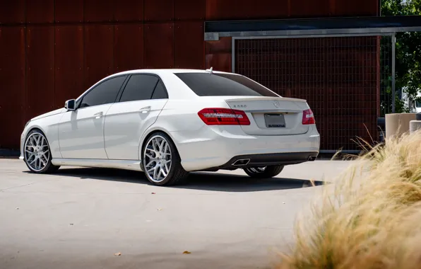 White, Mercedes, white, E-class, Mercedes, E550