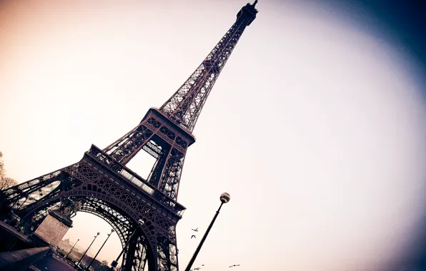 Tower, Paris, France, Eiffel, Wallpaper city