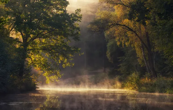 Picture landscape, river, morning