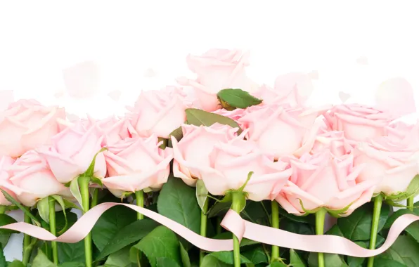 Roses, bouquet, pink, flowers, roses, pink roses