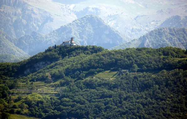 Forest, mountains, the estate
