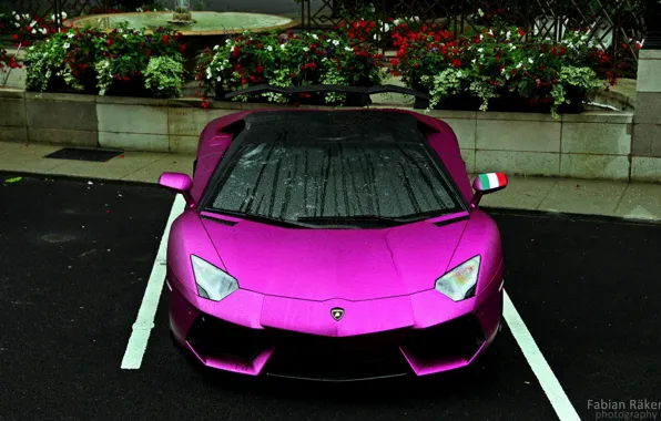 Drops, Parking, beauty, Lamborghini LP700-4 Aventador
