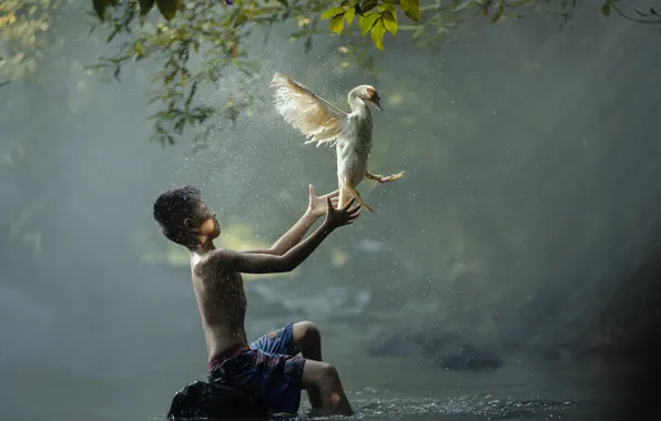 River, bird, boy