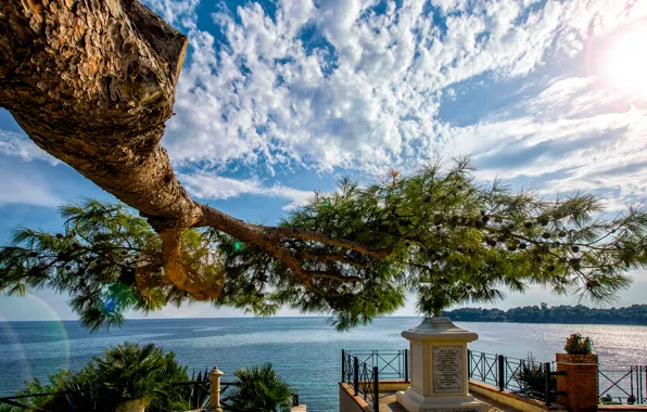 Sea, the sky, clouds, trees, branches
