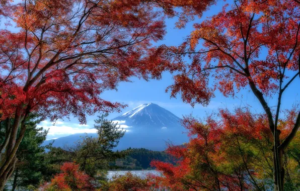 Autumn, trees, lake, mountain, Japan, Japan, Mount Fuji, Fuji