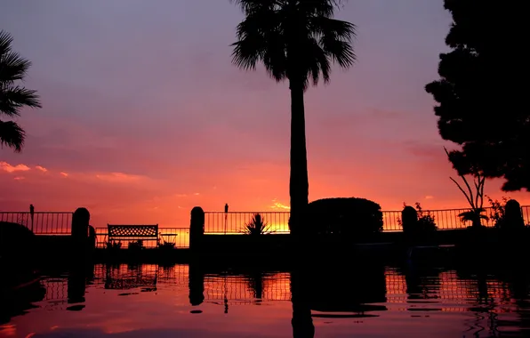 The sky, sunset, Park, Palma