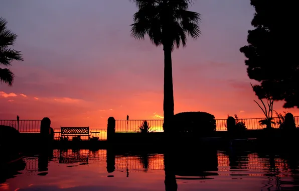 Picture the sky, sunset, Park, Palma