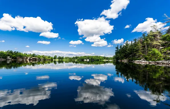 Picture clouds, trees, reflection, river
