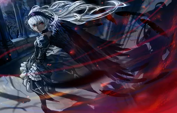 Girl, night, wings, feathers, red eyes, rozen maiden, suigintou