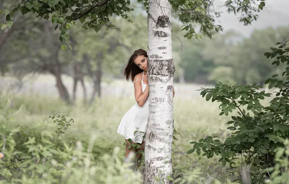 NATURE, GRASS, TRUNK, SUNDRESS, BIRCH, Diana, Denis Tretyakov, Model Diana