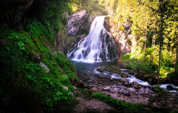 Picture forest, waterfall, river