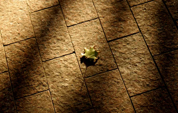 Autumn, Sheet, pavers, shadows