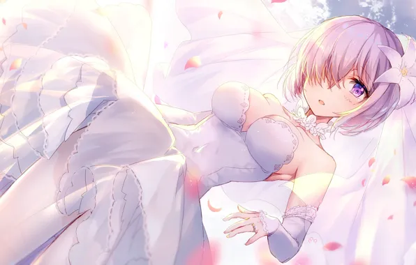 Girl, The bride, Fate / Grand Order, The destiny of a great campaign