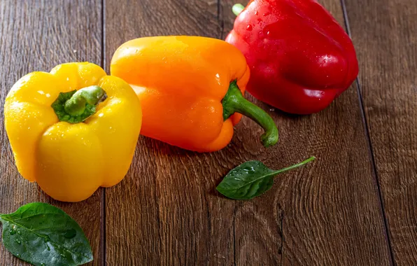 Pepper, leaves, water drops