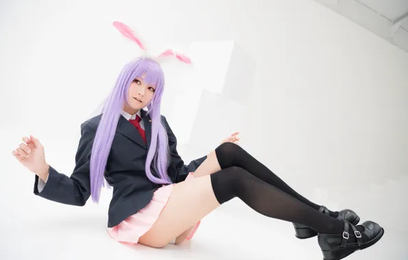 Panties, touhou, animal ears, stockings, red eyes, blazer, cosplay, black shoes