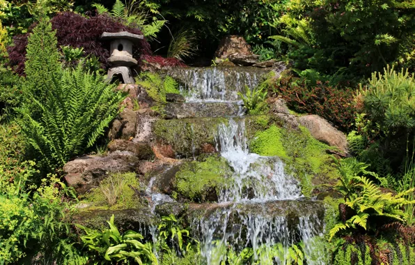 Greens, stream, waterfall, garden, UK, Mount Pleasant garden, Kelsall