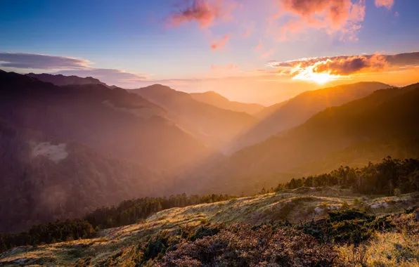 Picture forest, the sky, the sun, clouds, rays, landscape, mountains, nature