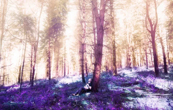 Picture forest, mood, watch, guy