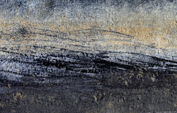 Surface, wall, color