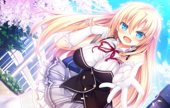Kawaii, big, anime, sakura, blonde, leaf, konoha, oppai