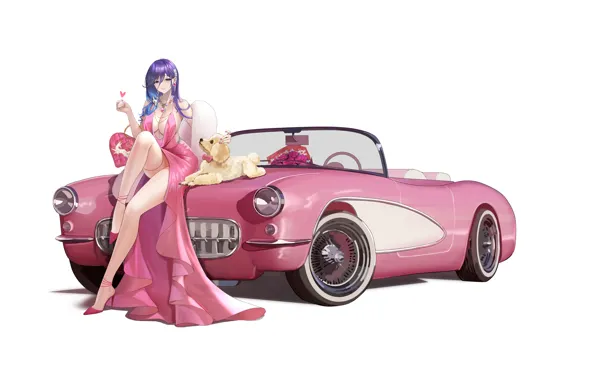 Picture car, cleavage, long hair, legs, animals, minimalism, smiling, sitting