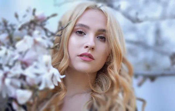 Picture face, model, hair, blonde