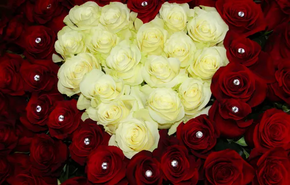 Flowers, red, heart, roses, bouquet, colorful, rose, white