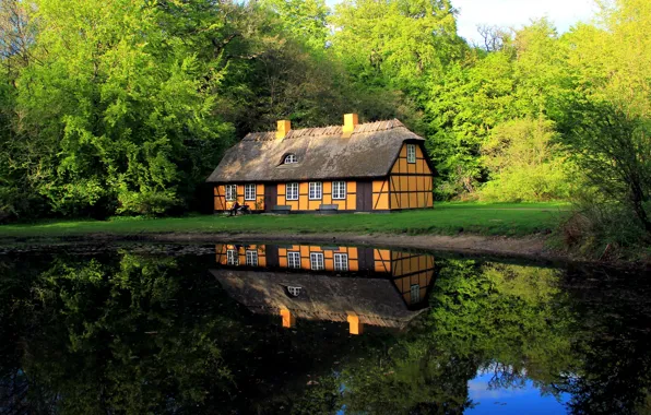 Picture roof, greens, water, comfort, house, pond, surface, reflection