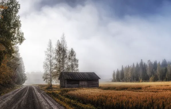 Road, autumn, house