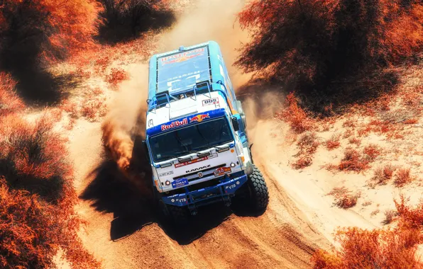 Sand, Truck, Race, Master, Russia, 500, Kamaz, Rally