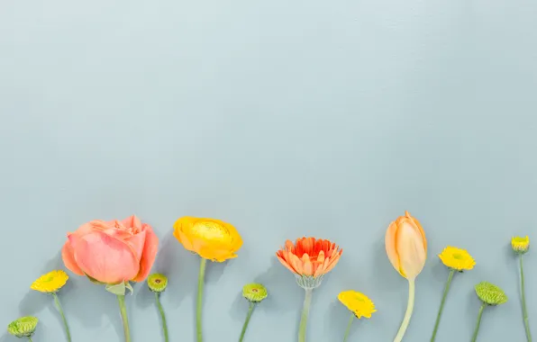 Flowers, flowers, beautiful, spring, composition, tender, floral
