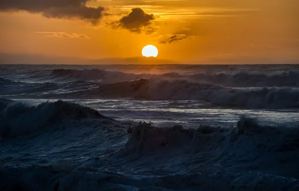 Picture sea, wave, landscape, sunset