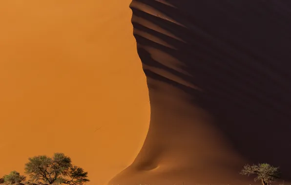 Sand, light, desert, shadow, Namibia