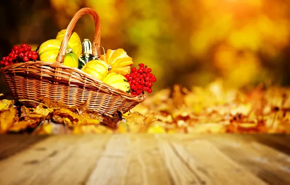 Picture autumn, pumpkin, basket, Rowan