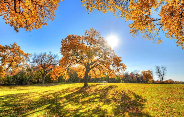Picture autumn, the sky, grass, the sun, rays, trees, Park, table