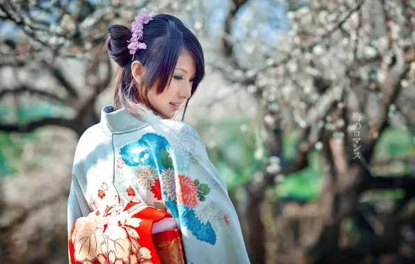 Picture girl, Japan, kimono