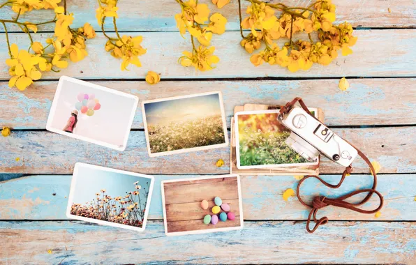 Flowers, photo, eggs, spring, camera, colorful, Easter, wood